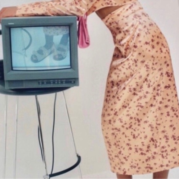 NWT Zara Satin Midi Skirt - Picture 7 of 7